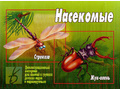 Демонстрационный материал "Насекомые" Демонстрационный материал "Насекомые"