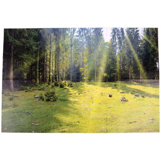 Магнитный плакат Лес без набора карточек (мобильный)