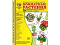 Демонстрационные картинки СУПЕР. Комнатные растения (16 шт.) Демонстрационные картинки СУПЕР. Комнатные растения (16 шт.)