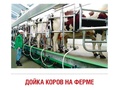 Демонстрационные картинки СУПЕР. Молоко и молочные продукты (16 шт.) Демонстрационные картинки СУПЕР. Молоко и молочные продукты (16 шт.)