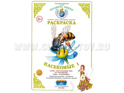 Раскраска Насекомые 1 Раскраска Насекомые 1