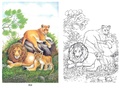 Раскраска Животные (5 раскрасок) Раскраска Животные (5 раскрасок)