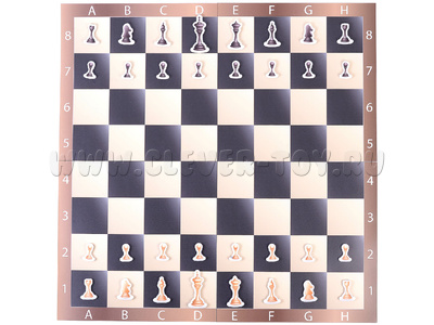 Магнитная шахматная доска (мобильная) с набором шахмат 58 х 58 см Магнитная шахматная доска (мобильная) с набором шахмат 58 х 58 см