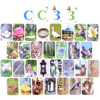 Набор магнитных карточек "Звуковозик" (С, З)